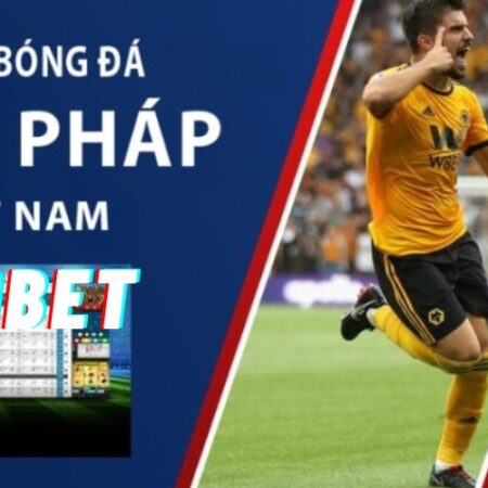 Cá độ bóng đá 789 – Đẳng cấp sòng bài chất lượng hoàng gia