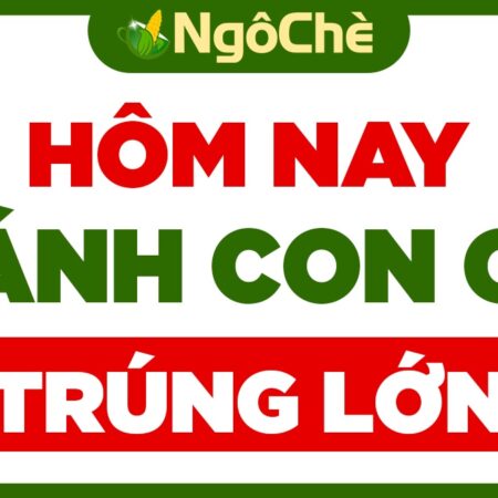 Lô đứng tốp hôm nay: Chi tiết bảng lô tốp hôm nay cực chuẩn