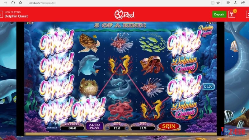 Trong nền game DOLPHIN QUEST có một giai điệu phong cách Ca-ri-bê