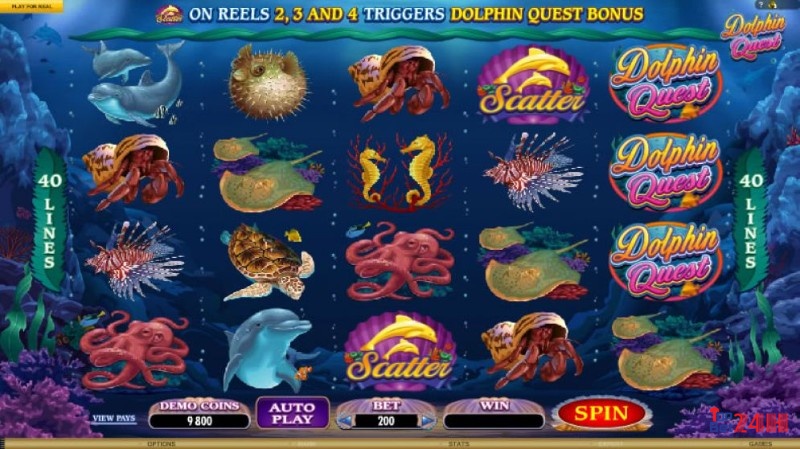 Game DOLPHIN QUEST có cách chơi đơn giản