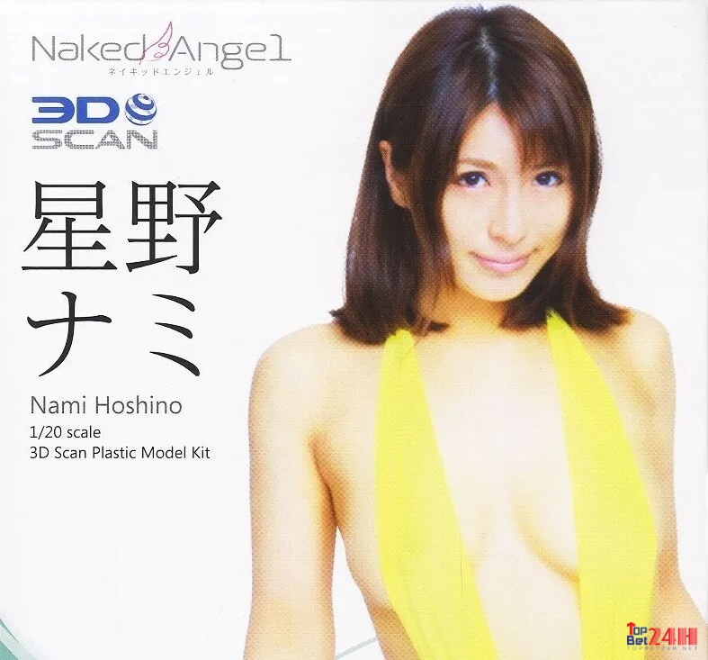 Nami Hoshino đã bắt đầu sự nghiệp của mình từ năm 2012 đến 2020