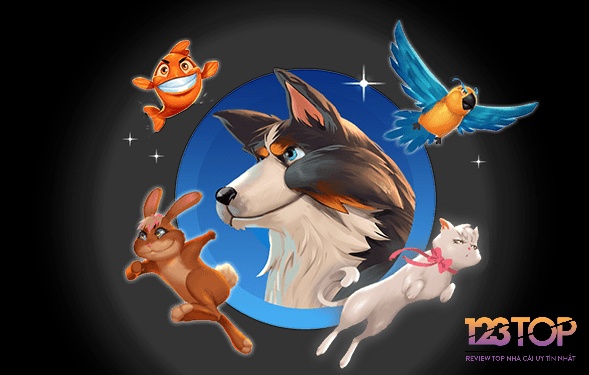 Hiểu rõ thông tin chi tiết của game Pets go Wild để tiếp cận cách chơi dễ dàng