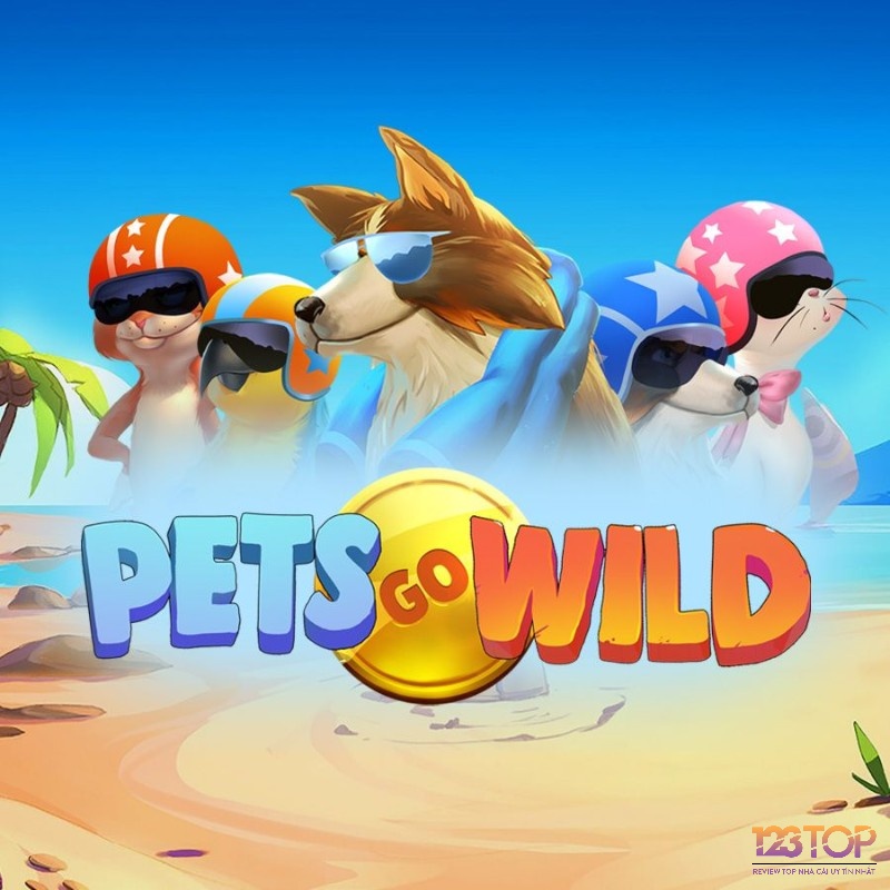 Trải nghiệm thú vị cùng Pets go Wild Hot nhé!