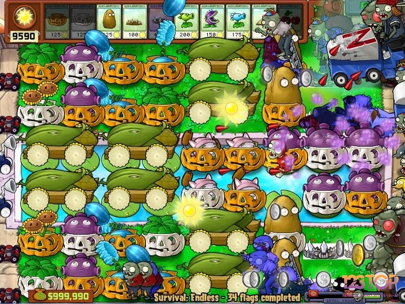 Pumpkin bảo vệ cây khỏi zombie