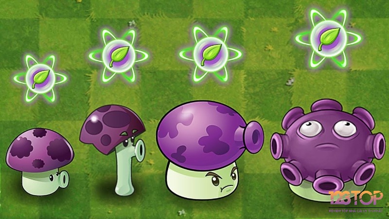 Puff-shroom là nấm tấn công gần