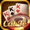 Catte online là gì? Cách chơi và kinh nghiệm hay cho anh em