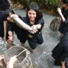Giải mã giấc mơ thấy bắt cá là điềm gì? Số bao nhiêu?