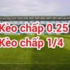 Kèo 1/4 là gì? Kinh nghiệm chơi kèo chấp 0.25 hiệu quả