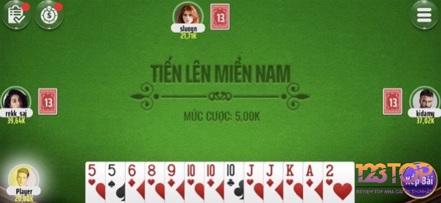 Người chơi Tiến lên miền Nam cần sử dụng chiến thuật để ra hết bài trước đối thủ, tạo nên lối chơi đơn giản nhưng đầy kịch tính