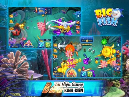 Big fish bắn cá – Game giải trí hấp dẫn và cách chơi hiệu quả