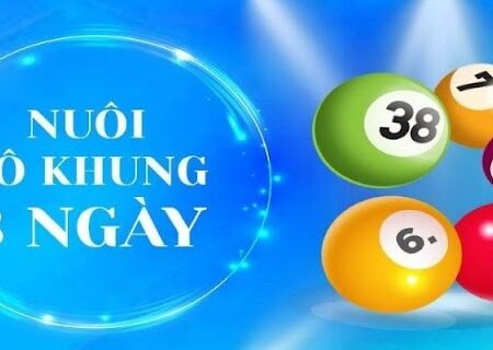 Bóng lô đề nuôi khung 3 ngày hiệu quả và chính xác nhất