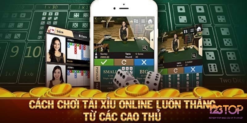 Người chơi tìm kiếm các diễn đàn trực tuyến để học hỏi kinh nghiệm và cảnh báo lừa đảo