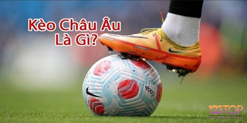 Hiểu rõ nguyên lý là bước đầu để chinh phục kèo châu Âu một cách bền vững