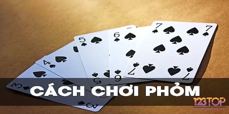 Nắm vững các thuật ngữ giúp bạn dễ dàng theo dõi và tham gia mọi ván bài.