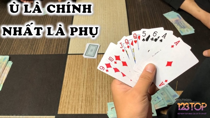 Theo cách chơi phỏm, chiến thắng thuộc về người có điểm rác thấp nhất