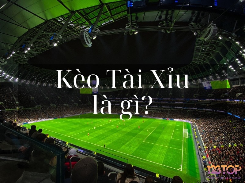 Cách cá độ bóng đá tài xỉu: người chơi chọn đặt cược vào cửa Tài hoặc Xỉu dựa trên ngưỡng bàn thắng mà nhà cái đưa ra.