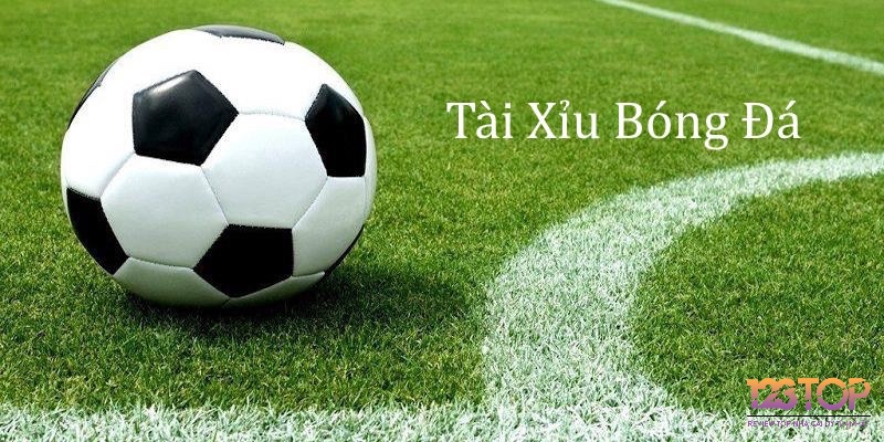 Tổng hợp những câu hỏi thường gặp giúp người chơi hiểu rõ hơn về cách cá độ bóng đá tài xỉu.
