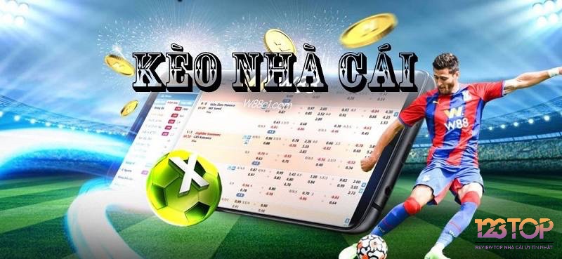 Nhà cái dựa vào thống kê và phong độ để đưa ra tỷ lệ hợp lý – người chơi cần phân tích kỹ trước khi đặt cược.