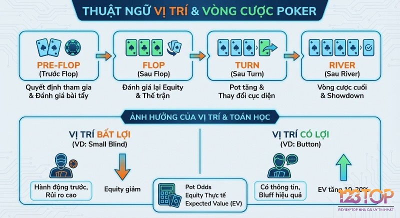 Tổng quan các thuật ngữ Poker phổ biến nhất về vị trí và vòng cược, phân tích tác động của vị trí (Small Blind, Button) cùng toán học (Equity, EV) đến chiến thuật