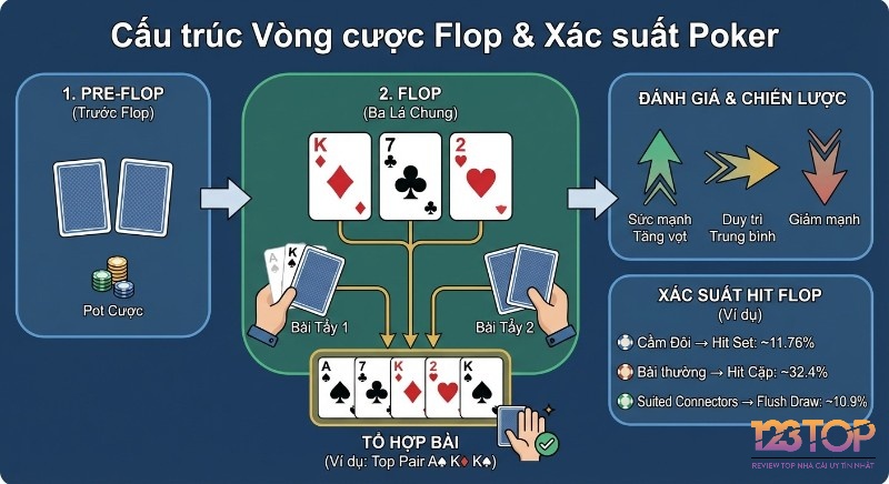 Quy trình vòng cược Flop là gì và cấu trúc ván bài Poker, giải thích kết hợp bài, chiến lược và xác suất hit flop