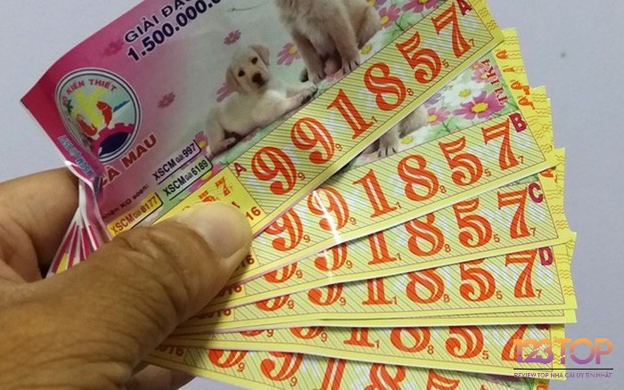 Giấc mơ thấy mình trúng số với giải thưởng nhỏ thể hiện cho những niềm vui và may mắn đơn giản trong cuộc sống hàng ngày